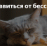 Сегодня от расстройств сна страдает примерно одна треть населения России - Знамя