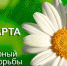 Пора действовать! - Знамя