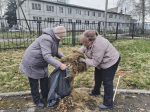 Всероссийский субботник